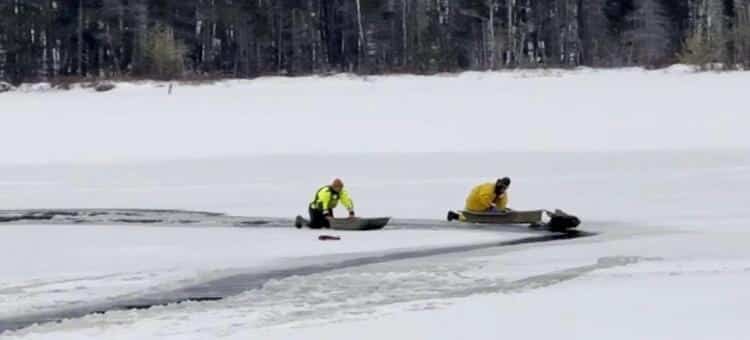 Rescatan a alce de lago congelado en Nueva York Rescatan a alce de lago congelado en Nueva York
