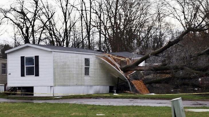 Mueren 3 menores por caída de un árbol durante una tormenta en Michigan
