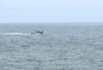 Mueren seis personas al estrellarse una avioneta frente a la costa de San Diego