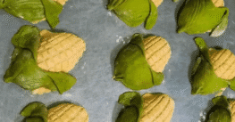 ¿Antojo? qué tal una conchaelote