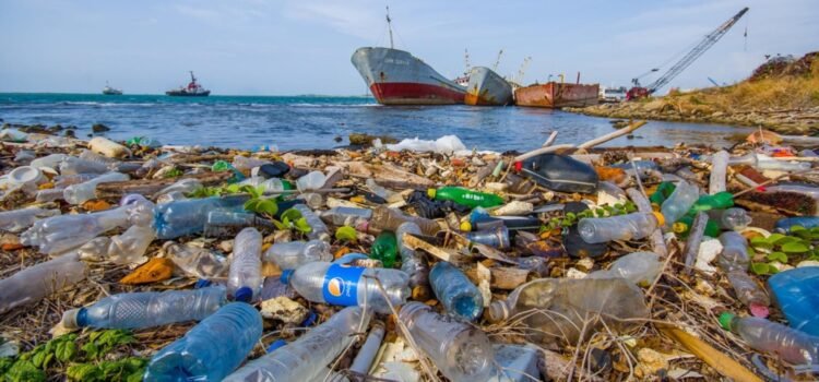 Negociaciones para un tratado internacional sobre la contaminación de plásticos fracasan