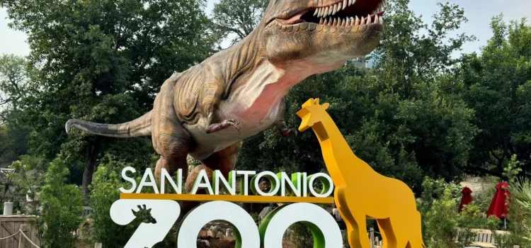 Zoológico de San Antonio dona 20.000 entradas a familias y socorristas afectados por las inundaciones