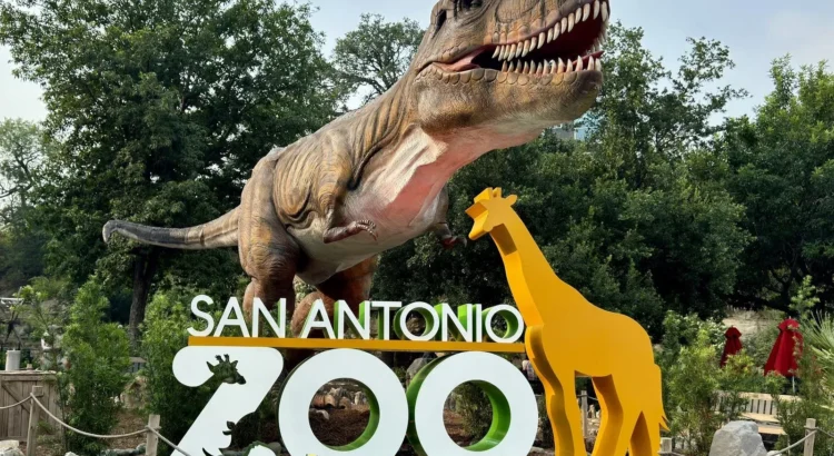 Zoológico de San Antonio dona 20.000 entradas a familias y socorristas afectados por las inundaciones