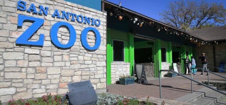 Laboratorio de conservación de corales abrirá en el Zoológico de San Antonio el próximo año