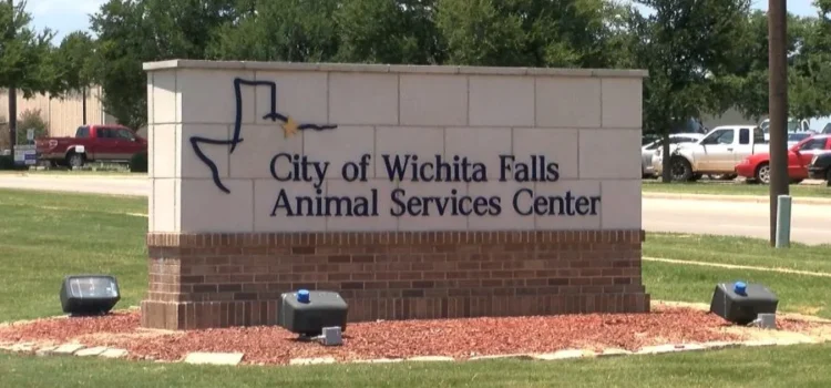 La ley de Texas ahora protege la seguridad de los oficiales que cuidan a los animales en las carreteras
