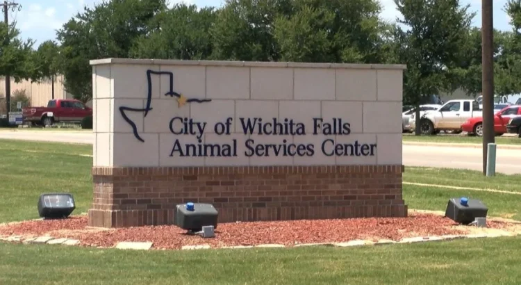 La ley de Texas ahora protege la seguridad de los oficiales que cuidan a los animales en las carreteras La ley de Texas ahora protege la seguridad de los oficiales que cuidan a los animales en las carreteras