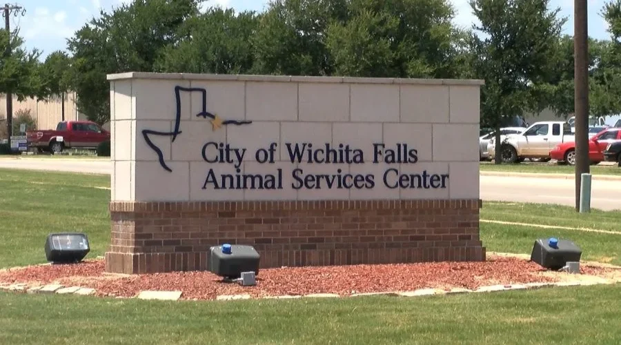 La ley de Texas ahora protege la seguridad de los oficiales que cuidan a los animales en las carreteras