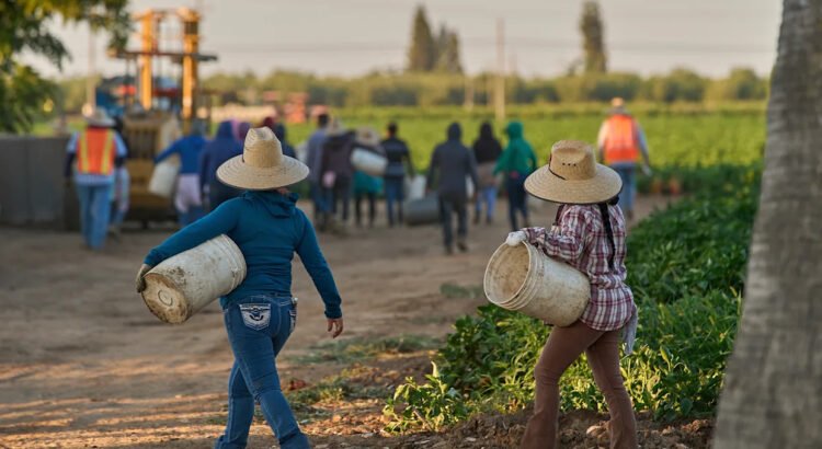 1,2 millones de inmigrantes han dejado la fuerza laboral de EEUU durante el mandato de Trump 1,2 millones de inmigrantes han dejado la fuerza laboral de EEUU durante el mandato de Trump