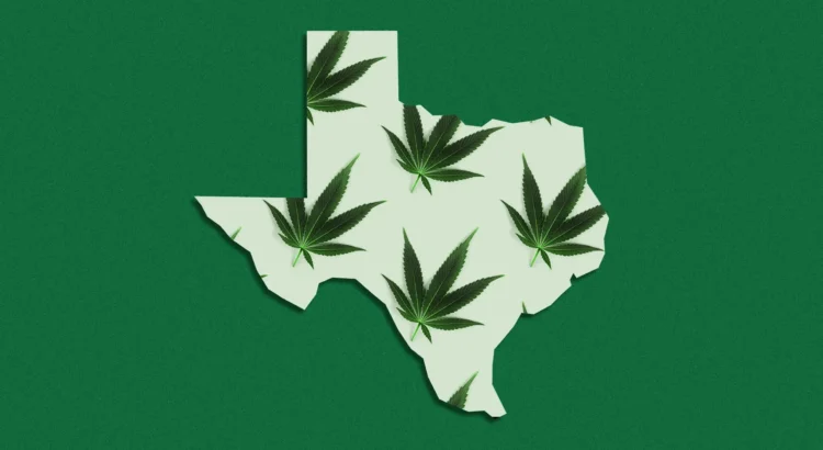 Texas Original anuncia la primera jeringa oral de cannabis medicinal del estado